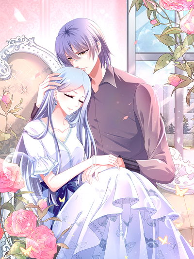 钢之炼金术师 封面